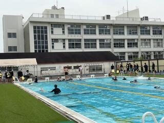 IMG_1790.jpeg