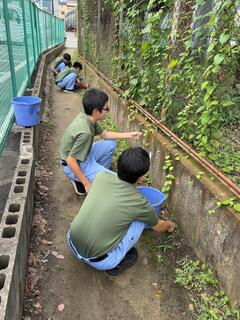 IMG_1919.jpeg