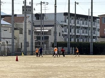 IMG_0281.jpeg