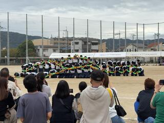 IMG_6061.jpeg