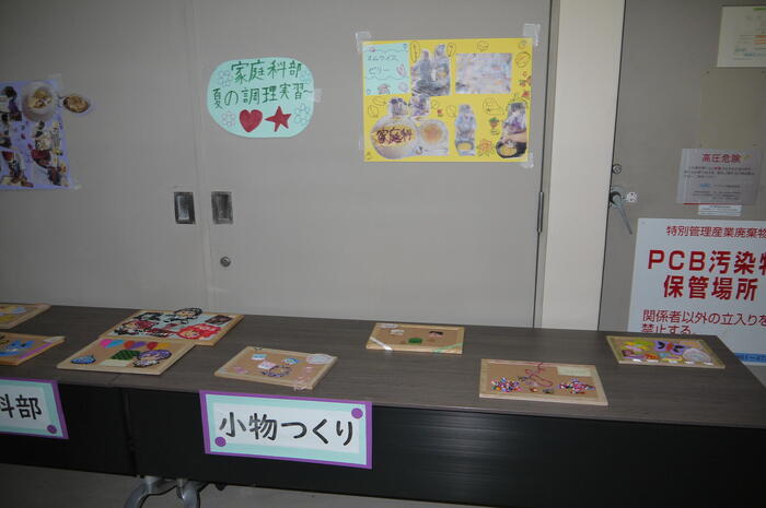 【家庭科部】たまフェス文化の部で発表しました