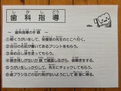 IMG_5073.jpeg