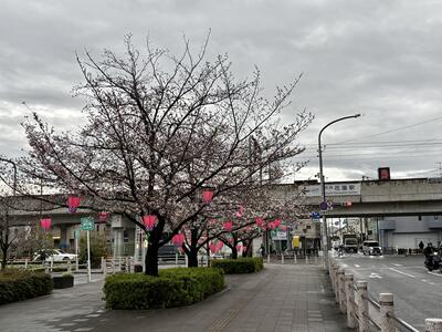 IMG_0470.jpeg