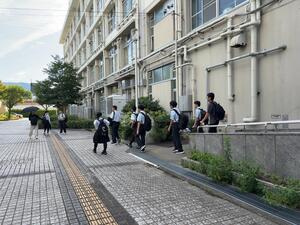 IMG_4953.jpeg