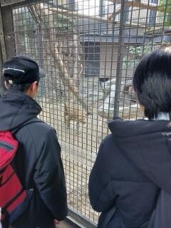 IMG_9812.jpeg