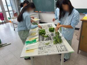 IMG_6691.jpeg
