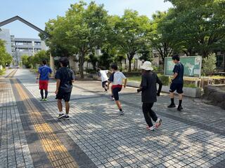 IMG_2254.jpeg