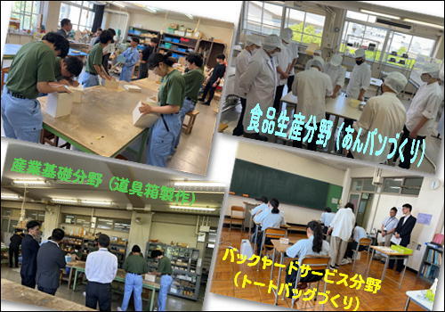 視察１.JPG