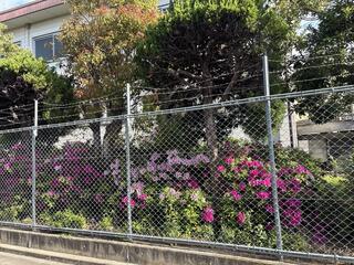 IMG_0710.jpeg