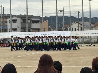 IMG_6050.jpeg