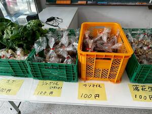 IMG_6775.JPEG