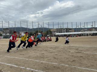 IMG_6074.jpeg