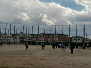 IMG_8482.JPEG