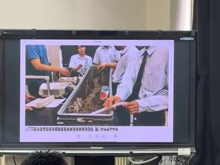 IMG_6159.jpeg