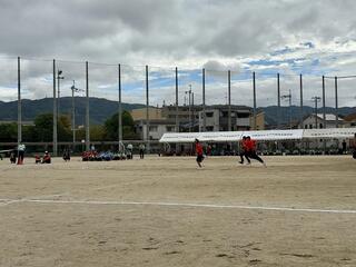 IMG_6006.jpeg