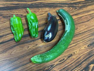 IMG_1433.jpeg