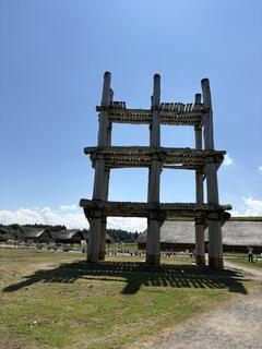 IMG_2627.jpg