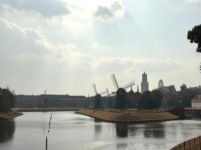 IMG_8828.jpeg