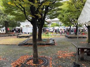 IMG_8283.JPG