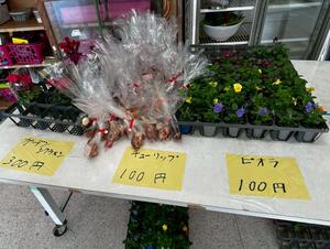 IMG_6776.JPEG