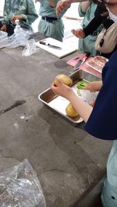 IMG_6875.JPG