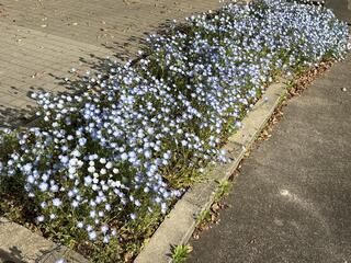 IMG_0712.jpeg