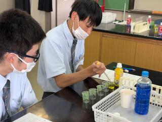 IMG_1584.jpeg