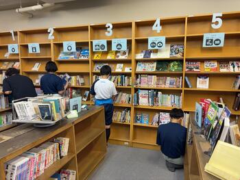 IMG_1523.jpeg