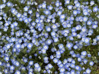IMG_0706.jpeg