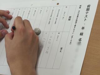 IMG_2978.jpeg