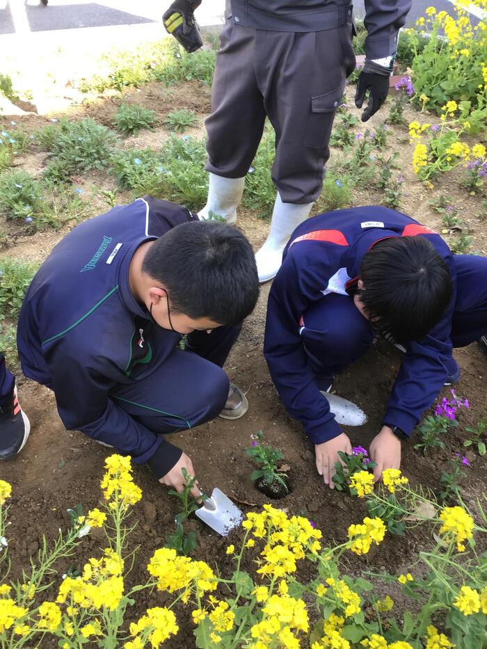 セブン・イレブン（吉田本町１丁目店）に行ってきました。（春の植栽活動）