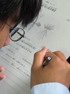 IMG_6156.jpeg