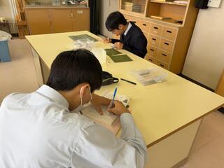 IMG_7178.jpeg