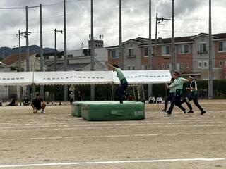 IMG_5998.jpeg