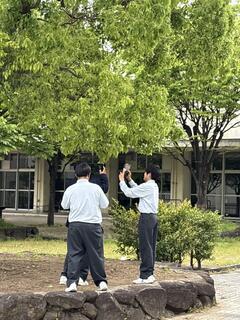 IMG_0795.jpeg