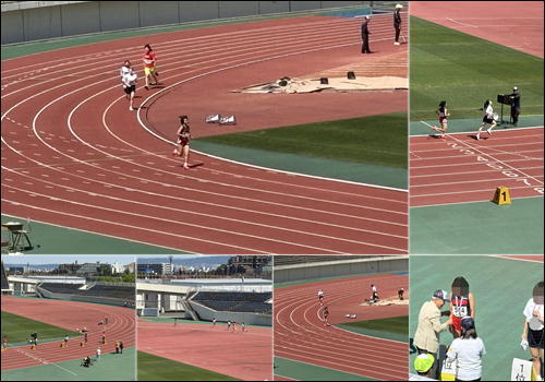 女子800m.JPG