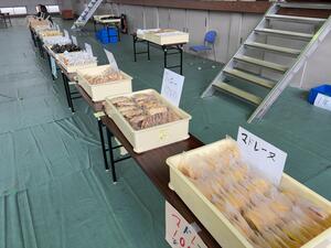 IMG_6697.jpeg