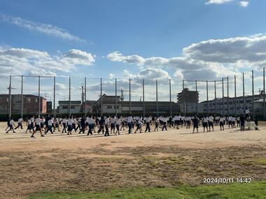 IMG_7949.JPG
