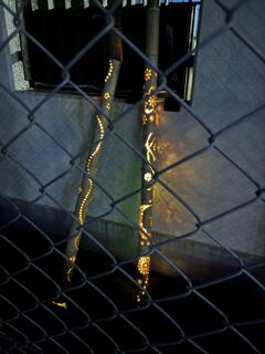 IMG_6625.JPG
