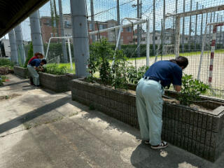 LINE_ALBUM_7142共生_260714_6.jpg