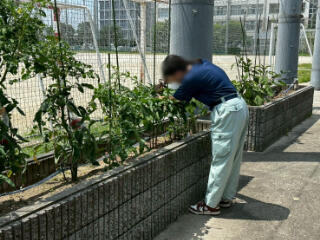 LINE_ALBUM_7142共生_260714_4.jpg