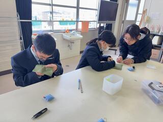 IMG_7176.jpeg