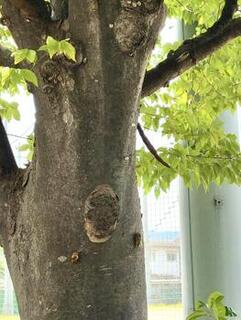 IMG_2266.jpeg