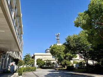 IMG_1439.jpeg