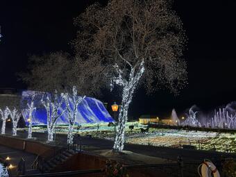 IMG_8880.jpg
