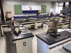 231127【写真】生物部活動報告(中学生へのメッセージ) (2).JPGのサムネイル画像
