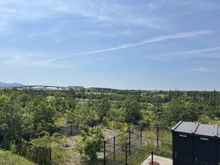 IMG_9055.jpeg
