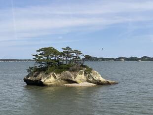 IMG_8922.jpeg