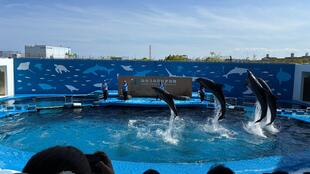 IMG_9077.jpeg