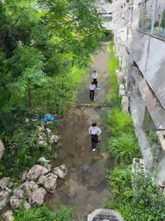 250616【写真】授業の風景38(1年「家庭基礎」、校内Feel度Walk) (1).JPGのサムネイル画像